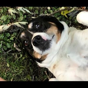 Meet your Posher, Kayden